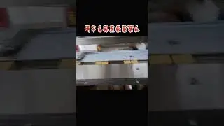 High-speed biscuit packaging machine automatic feeding counting machine line | SAYOK