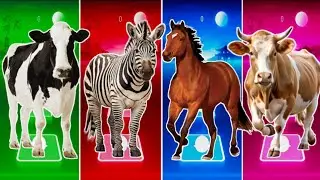 Funny Cow 🐄🆚 Funny Zebra 🦓🆚 Funny Horse 🐎🆚 Funny Bull 🐂|| Coffin Dance Song Tiles Hop Edm Rush