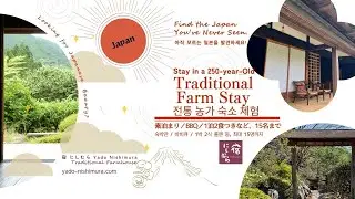Timeless Japan: A Hidden Mountain Village Between Tokyo and Kyoto | 250년 된 일본 전통 가옥, 아직도 사람이 살고 있는 곳