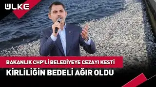 Bakanlık CHP'li Belediyeye Kirliliğin Bedelini Ödetti! #haber