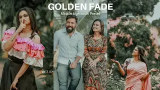 Golden Fade | Outdoor Photoshoot Lightroom Preset | Dark Planet