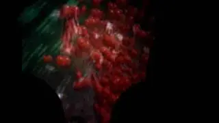 MOV01143