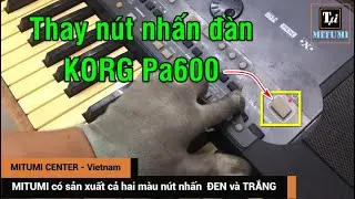 Sửa nút nhấn đàn KORG Pa600 Fill 1234 | Performance | Exit | Power | Fix Button Korg Pa600