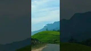 എന്താ ഭംഗി 💚💙❤️ #shortvideo #beatifulnature #travel #youtubeshorts #nature #LakshmiEstate #munnar