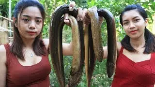 Yummy cooking Eels recipe - Cooking skill