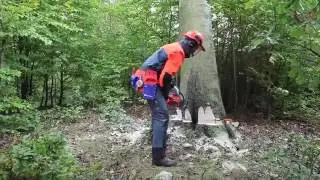 Работа с бензопилой   Метод безопасного угла