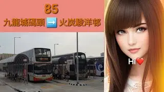 Hong Kong Bus KMB ATEE32 @ 85 九龍巴士 Alexander Dennis Enviro500 九龍城碼頭 火炭駿洋邨