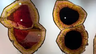 Mineral City Show TV 2025 (S04E15)