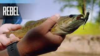 Creek Fishing With Insect Lures