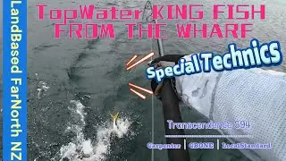 Special Technics for Top Water King Fish / Far North New Zealand｜Transcendence S94R (AI English SUB)