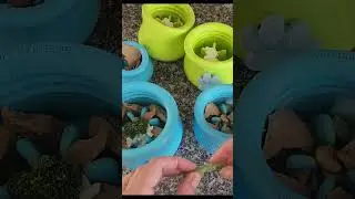 How to use a West Paw Toppl