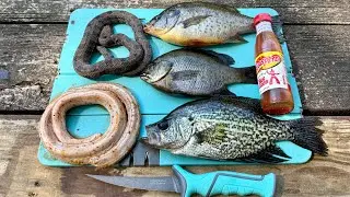 SPICY Snake & Bream Catch n' Cook!