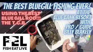 How to catch Bluegill at the Blue Bank Resort with Billy Blakely! Fish Eat Live