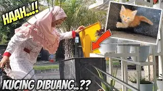 Aqilla Nemu Anak Kucing Di Tong Sampah Auto Dimandikan ♥ Drama Aqilla's Diary
