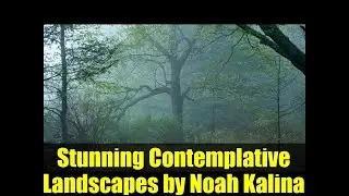 Stunning Contemplative Landscapes by Noah Kalina