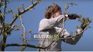 Obstmuckelei Obstwiese Havelland - Kampagnenfilm