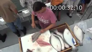 Fillet Fluke In Less Than A Minute