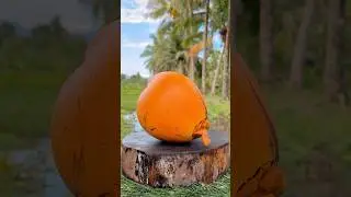 Failed To Satisfying