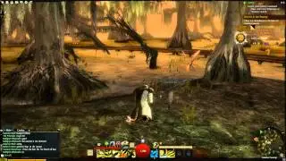 Guild Wars 2 - Level 15 Human Raid Boss Event