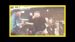 Conor mcgregor attacks referee after teammate's fight