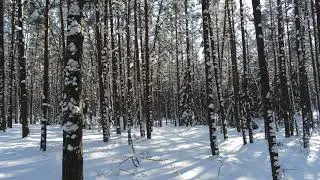 Website background video 4k winter in Lithuania with drone footage. A lot of snow. Divi background