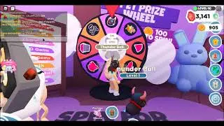 Spinning the overlook bay pet wheel 20 times (INSANE)