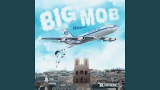 MOB AIRLINE