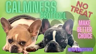 No Treats. Calmness Dog Training ( Hyper to Calm) with breakfast  to make better choices.
