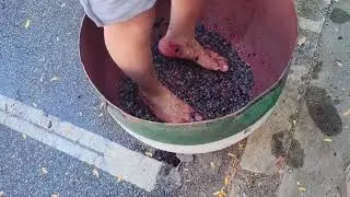 Vittorio grape stomping Little Italy Cleveland Columbus Day celebration