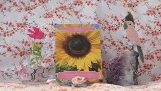 Daily Flower Oracle Card Reading