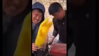 тутор как стать негром #негр
