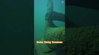 Scuba Diving in Dammam & Khobar suitable for beginners or experienced Divers.