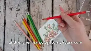 How to Make a CTMH Love Blossoms and Thin Cuts Card