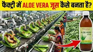 फैक्ट्री में कैसे बनता है Aloe Vera Juice | Full Production Process