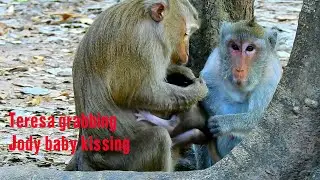 Oldie Teresa grabbing newborn Jody on chest kissing sweetly. How much oldie Teresa love Jody baby!