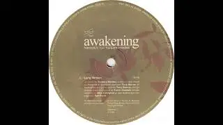 François K Feat. Barbara Mendes – Awakening