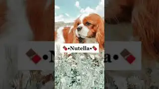 🐶Nombres lindos para perritas🐶#sʜᴏʀᴛs#viral#fryシ#viral
