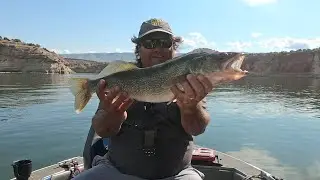 Hanging out in a fishy spot