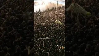 Taboot Imam Ali Lucknow | 21 Ramzan 2025 | Shahadat Imam Ali a.s | Lucknow India