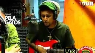 Matamba - Enredarama - Reggae en PelaGatos
