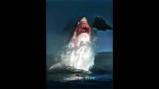 The Great White Shark vs Saltwater Crocodile #shorts #crocodile #sharks
