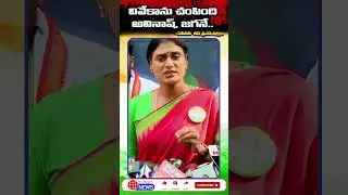 Telangana Capital News ||YS Sharmila Reddy Shocking Reaction On YS Vivekananda Reddy Second Wife