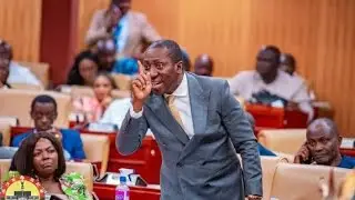 Hot Gossip and NPP Primaries wahala 😲