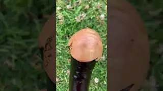 Chestnut Walking Stick | Cane | Wood Hiking Cane | Natural Handmade | Trekking Pole | Outdoors