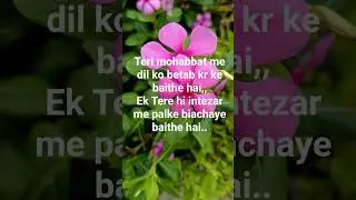 love for love maati time all videos are made with original quality vedeo viral video