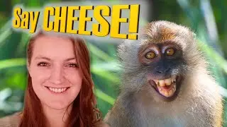 Why Do We Show Our Teeth When We Smile? | Evolution of Smiling