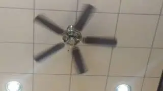 Monte Carlo Ceiling Fans at a Senior Center