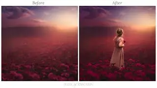 Magenta Daisy Composite Edit Demonstration in Photoshop