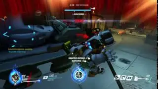 Rein pin 