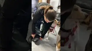 Guêtres pour éviter la neige dans vos bottes!